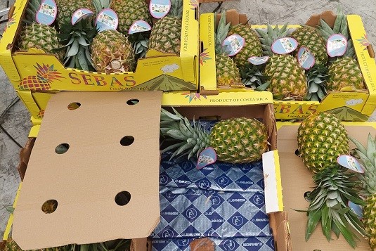 Operação Fado apreende cocaína em Setúbal